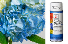 Load image into Gallery viewer, Design Master Just For Flowers