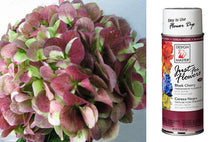 Load image into Gallery viewer, Design Master Just For Flowers