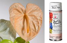 Load image into Gallery viewer, Design Master Just For Flowers