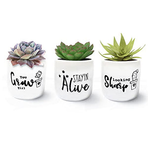 SupplyFlora Ceramic Pots, Hand Panted Desk Planter Table Top Terrarium for Succulents and Home Plants Support Plants