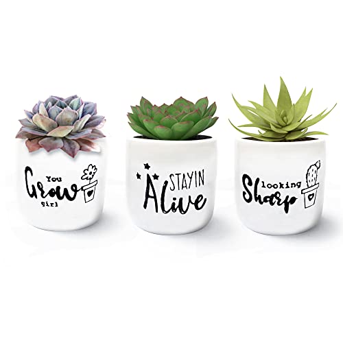 SupplyFlora Ceramic Pots, Hand Panted Desk Planter Table Top Terrarium for Succulents and Home Plants Support Plants