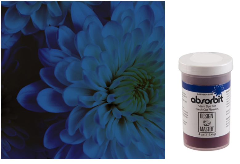 Absorbit Stem Dye 4oz tub – SLS SupplyFlora