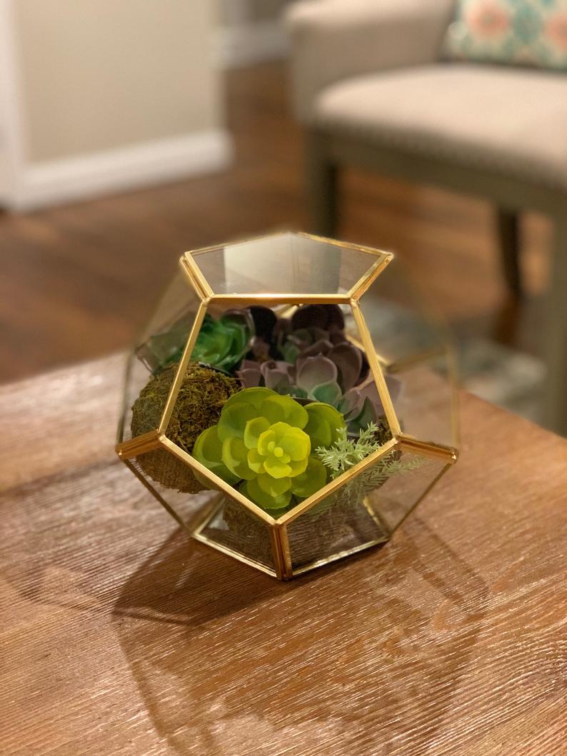Geometric Glass Terrarium Planter & Succulent Planter 6x6x6