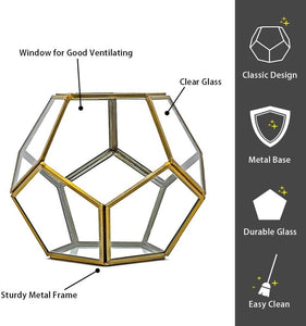 Geometric Glass Terrarium Planter & Succulent Planter 5x5x5