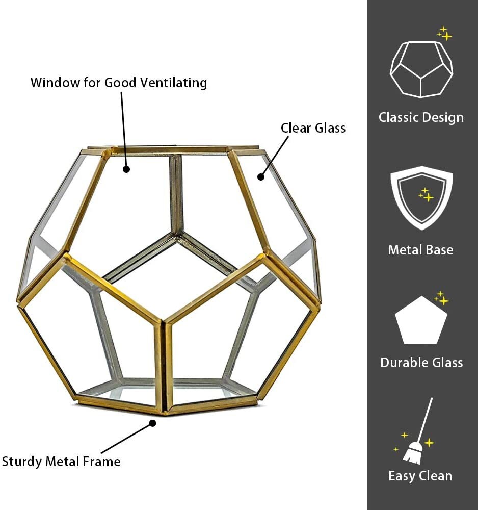 geometric glass succulent planter Geometric Glass Terrarium Planter & Succulent Planter 5x5x5