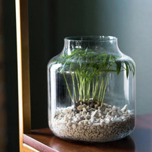 Load image into Gallery viewer, Drainage Stone 1 Quart bag