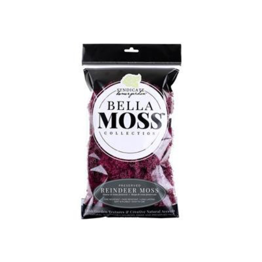 Bella Moss Sangria Reindeer Moss 80 Cubic Inch