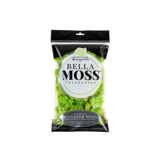 Bella Moss Chartreuse Reindeer Moss 80 cubic inch bag