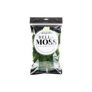 Bella Moss Dark Green Reindeer Moss 80 Cubic Inch